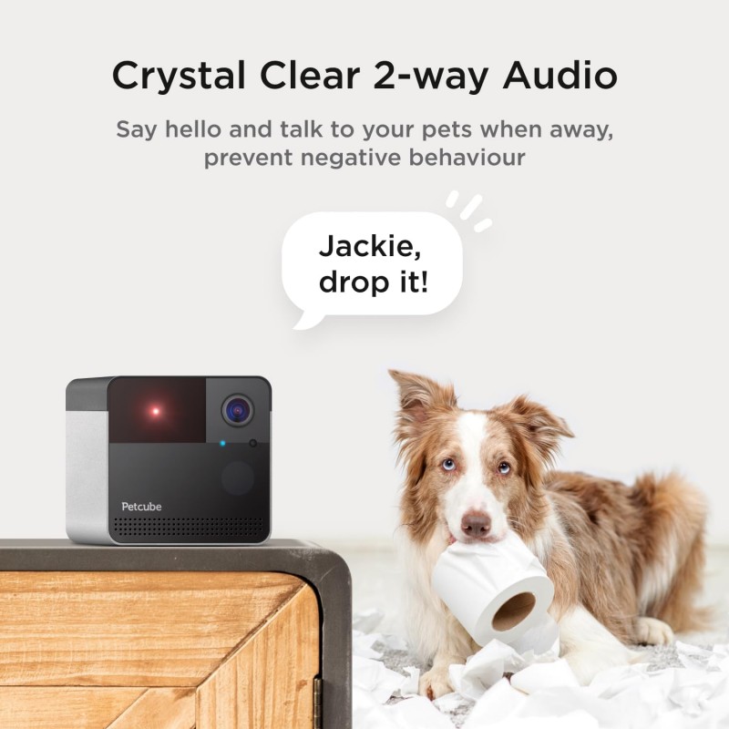 Petcube Play 2 Wi-Fi Pet Camera with Laser Toy | 1080p HD Smart