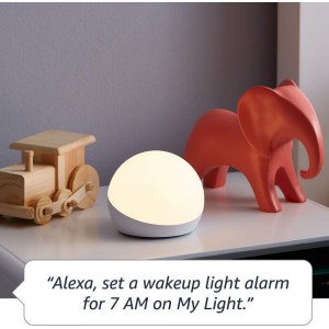 Echo Glow  - requires compatible Alexa-enabled device