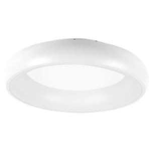 230VAC 62W Cct Adj. White LED Ceiling Fitting Dia. 810MM