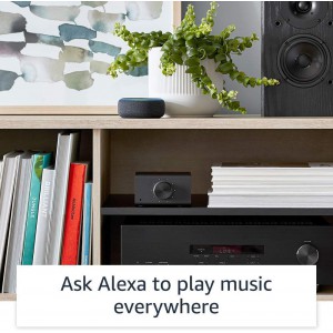 Echo Link - Stream Hi-Fi Music to your Stereo System