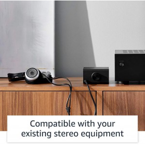 Echo Link - Stream Hi-Fi Music to your Stereo System