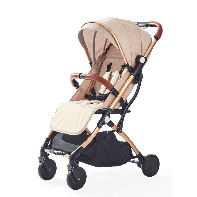 buggy or stroller