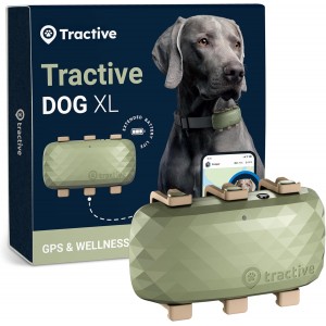 Tractive XL Smart Dog GPS Tracker | Track Every Adventure. Protect Every Journey. Monitor Every Tail Wag