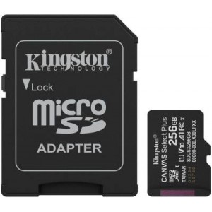 SDCS3/256GB miCro sdXc Canvasp