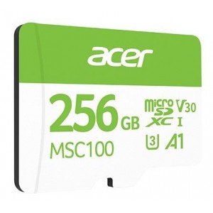 Micro SD 256GB