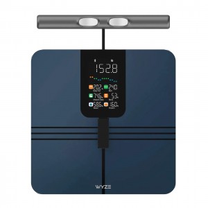Wyze Scale BodyScan 8-Electrode BIA Smart Scale | A Deeper Scan from Head to Toe