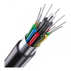 Molex F/O Mm 24 Core INT/EXT OM3 - Blk
