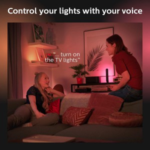 Philips Hue Play White and Color Smart Light (Works with Amazon Alexa, Apple Homekit & Google Home) - Hub Required