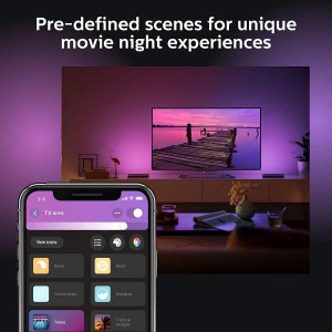 Philips Hue Play White and Color Smart Light (Works with Amazon Alexa, Apple Homekit & Google Home) - Hub Required