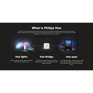 Philips Hue Play White and Color Smart Light (Works with Amazon Alexa, Apple Homekit & Google Home) - Hub Required