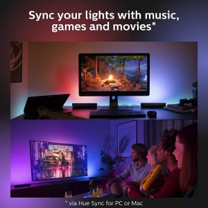 Philips Hue Play White and Color Smart Light (Works with Amazon Alexa, Apple Homekit & Google Home) - Hub Required