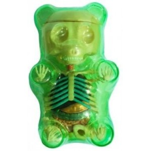 Gummi Bear Anatomy - Green Edition