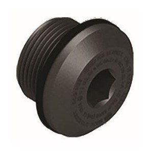 Blanking Plug - Non Metallic IP65 M22X1.5