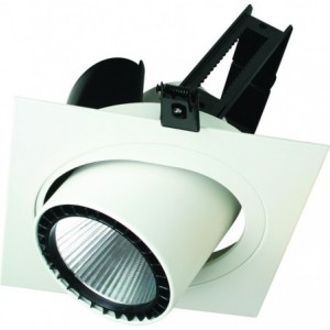 230VAC 30W Warm White Adjustable Recessed LED Down Light 3000K