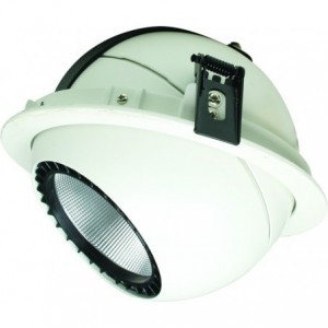 230VAC 30W Warm White Adjustable Recessed LED Down Light 3000K