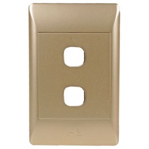 Blank Module 4X2 2 Lever