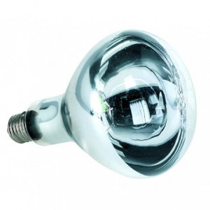 275W Heating Lamp E27 170mm