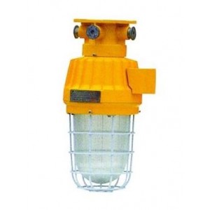 100W 230V E27 HPS Bulkhead Fitting with Ballast and Ignitor EX IP65