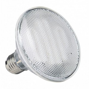 20W Diffused Green E27/PAR38 ESL