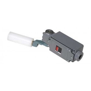 Double Pole Conveyor Alignment Switch 3A IP65