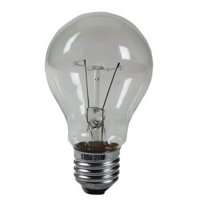 115V 25W E27 Bulb