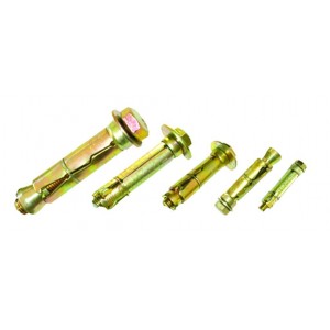 Shield Expansion Anchor M10 x 70 Pack of 4
