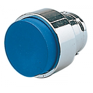 Blue Ext Pushbutton Head