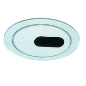White Downlight MR16 50W