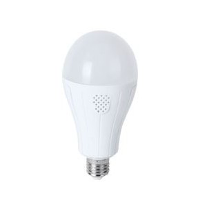 230VAC 12W E27/B22 Daylight LED A60 Emergency Lamp