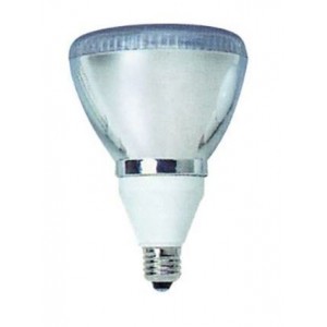 Cool White Fluorescent Lamp 230V 20W E27