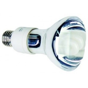 Cool White Fluorescent Lamp 230V 15W E27