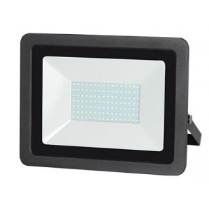 230VAC 100W RGB+W Floodlight with Remote