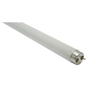 15W T8 Fluorescent Lamp 450mm Daylight 6500K 865
