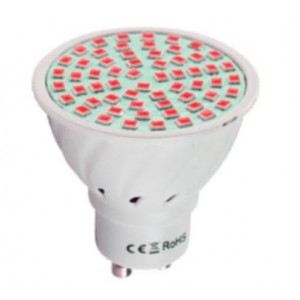 230VAC 38 LED Red LED Lamp GU10