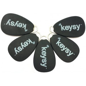 Keysy Rewritable RFID Keyfobs (5-Pack)