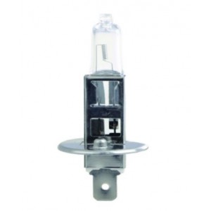 12VDC 55W H1 Halogen Bulb