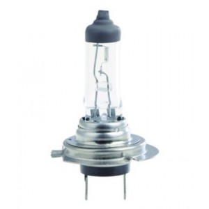 12VDC 55W H7 Halogen Bulb