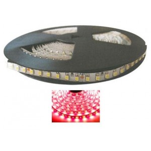 12VDC Red LED Flexible Strip Light 5M Non-Waterproof