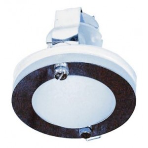 3W Warm White LED Downlight with Driver IP65