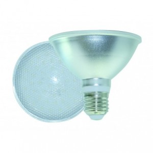 230VAC LED Blue PAR30 9W Light Bulb