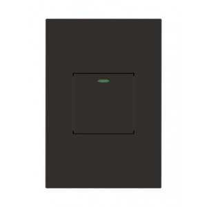 Orion Black 1 Lever 1 Way 2X4 Pre-Assembled Switch