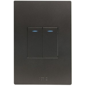 2 Lever 1 Way Switch 2X4 Slate Orion Pre-Assembled