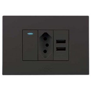 N-Type Switch with USB Outlet 2x4 Black Orion Pre-Assembled