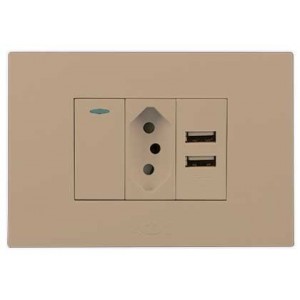 N-Type Switch with USB Outlet 2X4 Champagne Orion Pre-Assembled
