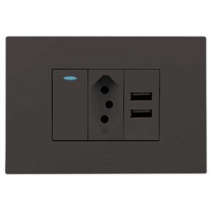 N-Type Switch with USB Outlet 2x4 Slate Orion Pre-Ass