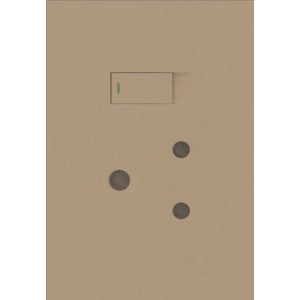 16A Switched Socket 2X4 Mono Block Champagne Orion