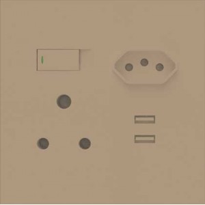 Champagne Orion 4X4 Mono Block with N-Type- 16A- and 2.1 USB