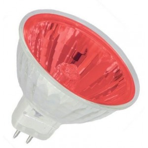 12V 35W 24-Degree Red Halogen Lamp Sealed Pack of 2