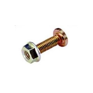 BOLT &amp; NUT M6x10 BICHR /100