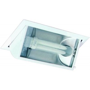 Adjustable Cfl Down Light 18W G24D2